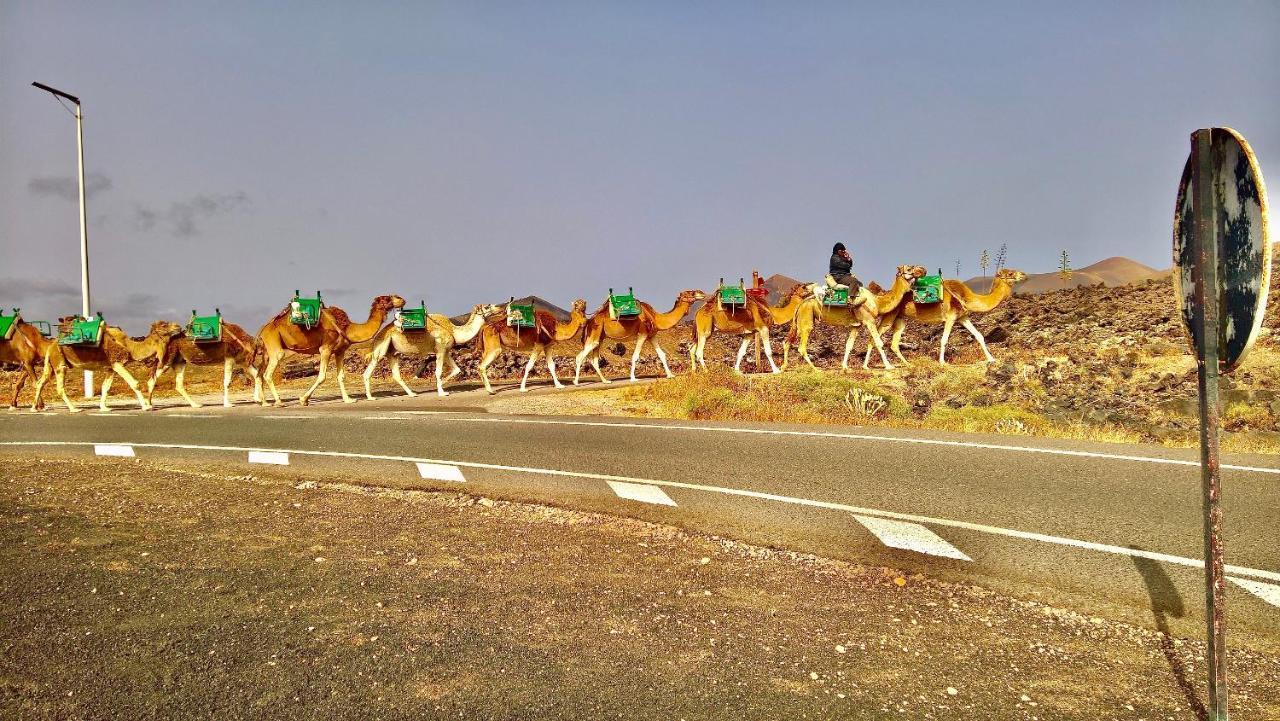 Tia Ela * Yaiza (Lanzarote)